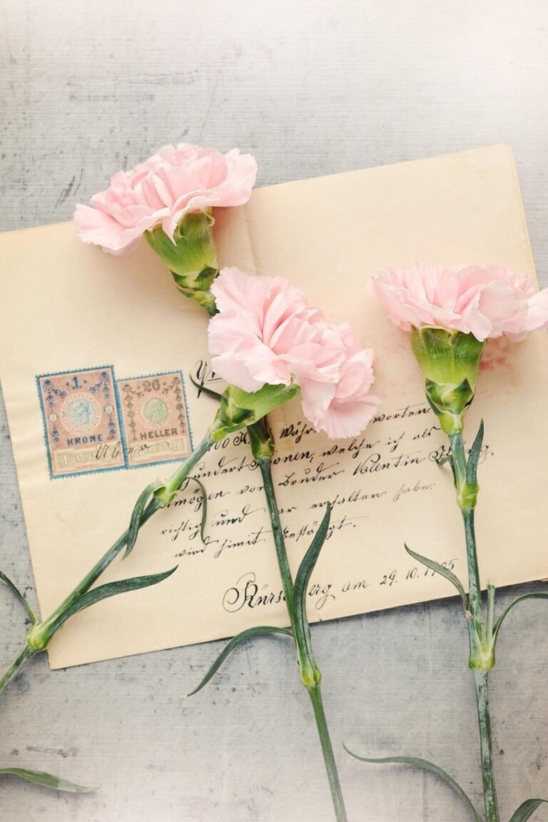letter, envelope, pink carnations, flowers, nature, flower wallpaper, pink flowers, old, beautiful flowers, antique, post office, flower background, paper, blossoms, cut flowers, close up, still life